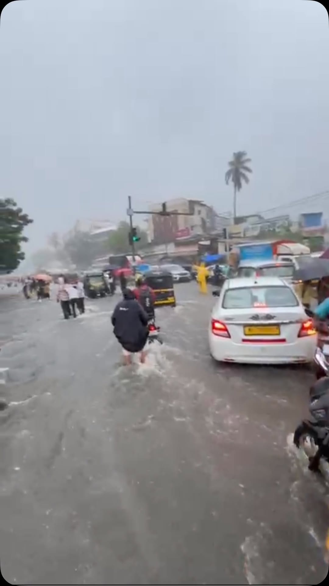 Post 8 by Kurla community✊🏻 on Instagram (video)