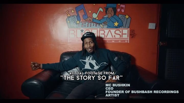 Post 10 by Bushkin on Instagram (video)