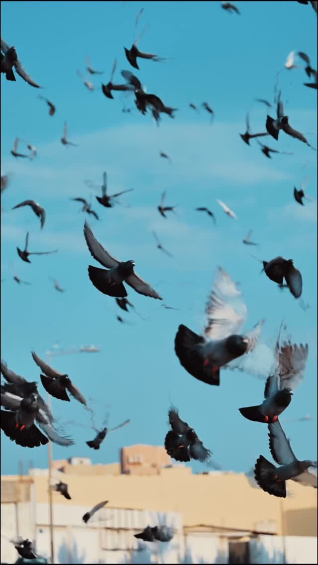 Post 6 by MOBILESHOTSINDIA on Instagram (video)