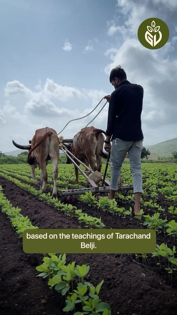 Post 7 by Girveda - Cow Based Natural Farming on Instagram (video)