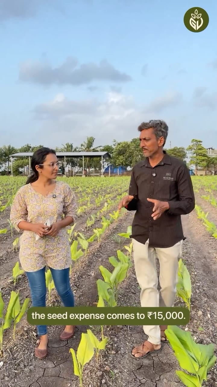 Post 1 by Girveda - Cow Based Natural Farming on Instagram (video)