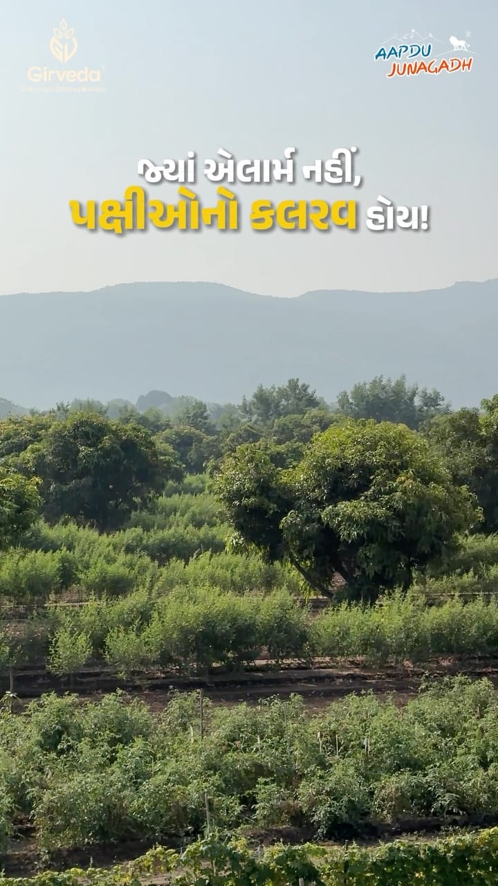 Post 10 by Girveda - Cow Based Natural Farming on Instagram (video)
