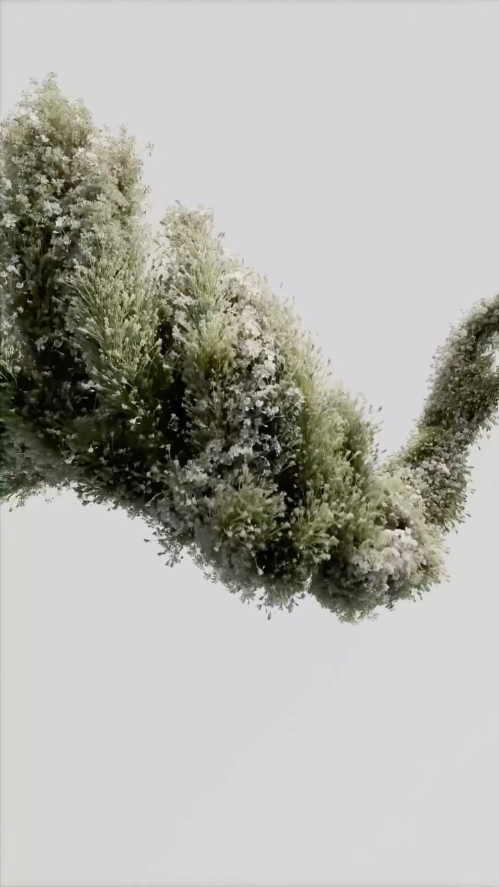 Post 4 by Nelson Noa on Instagram (video)