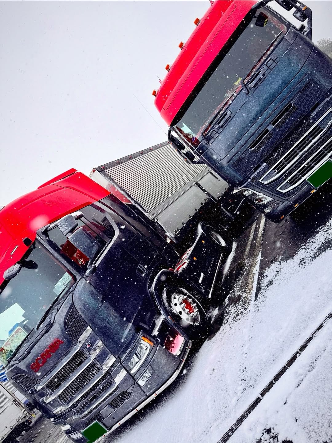 Post 1 by rino sasaki on Instagram (image)