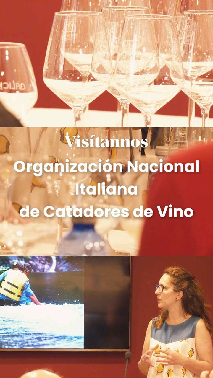 Post 9 by D.O. Ribeira Sacra on Instagram (video)
