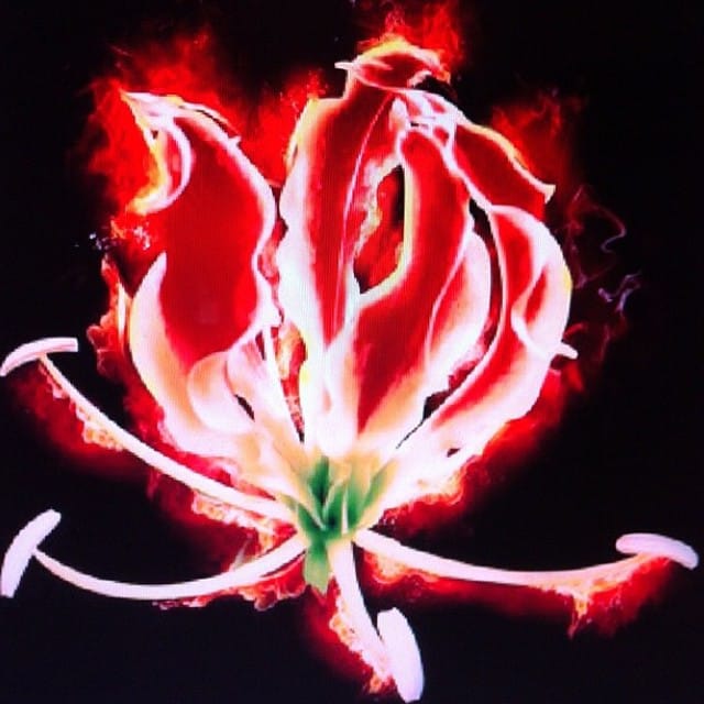 Post 1 by Mc sai on Instagram (image)