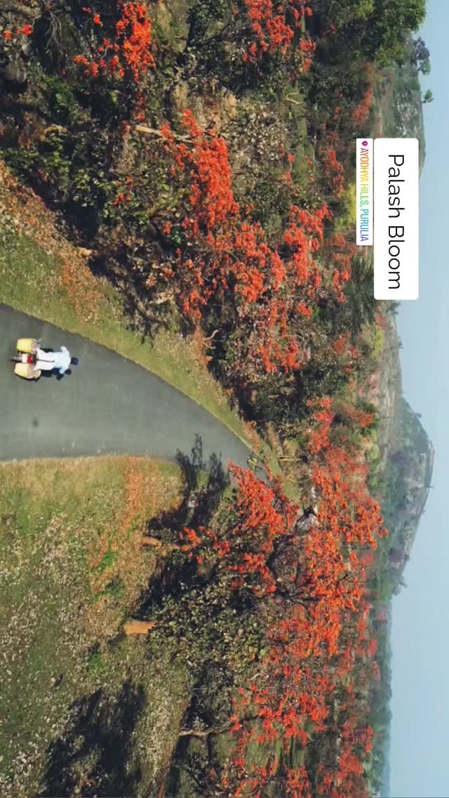 Post 6 by Gourab Das on Instagram (video)