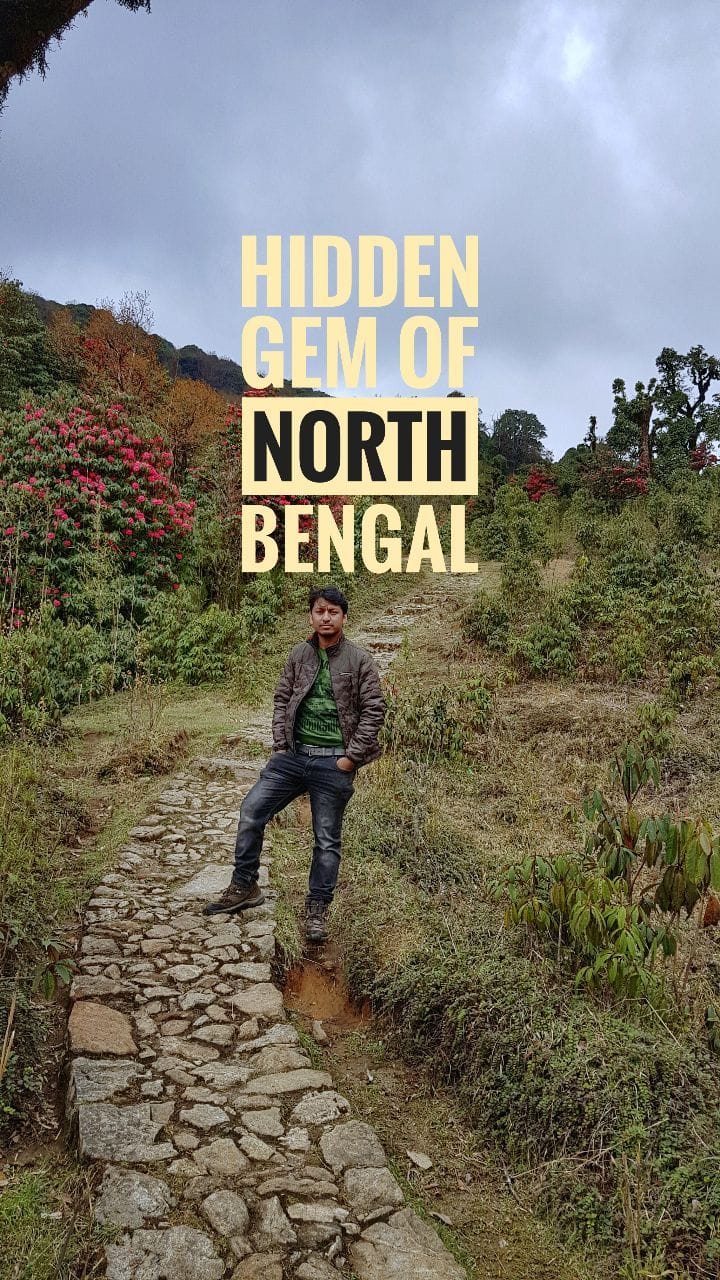 Post 9 by Gourab Das on Instagram (video)