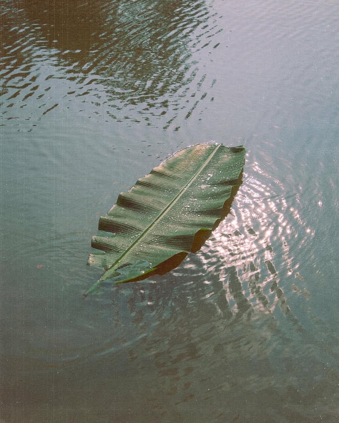 Post 9 by imdad on Instagram (image)