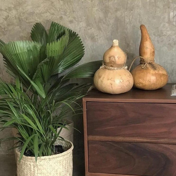 Post 6 by Catherine Marion on Instagram (image)
