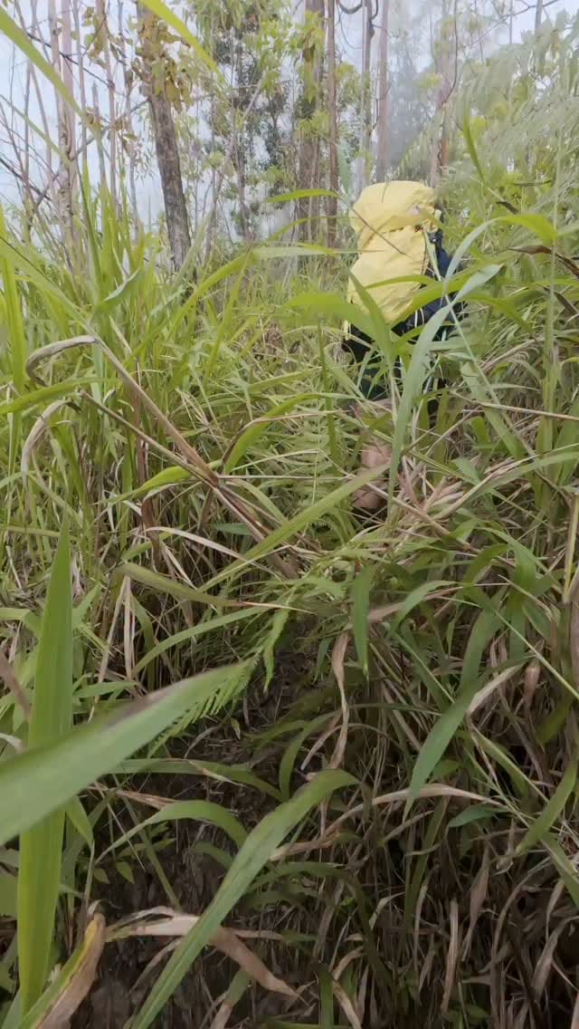 Post 5 by Rikas Harsa on Instagram (video)