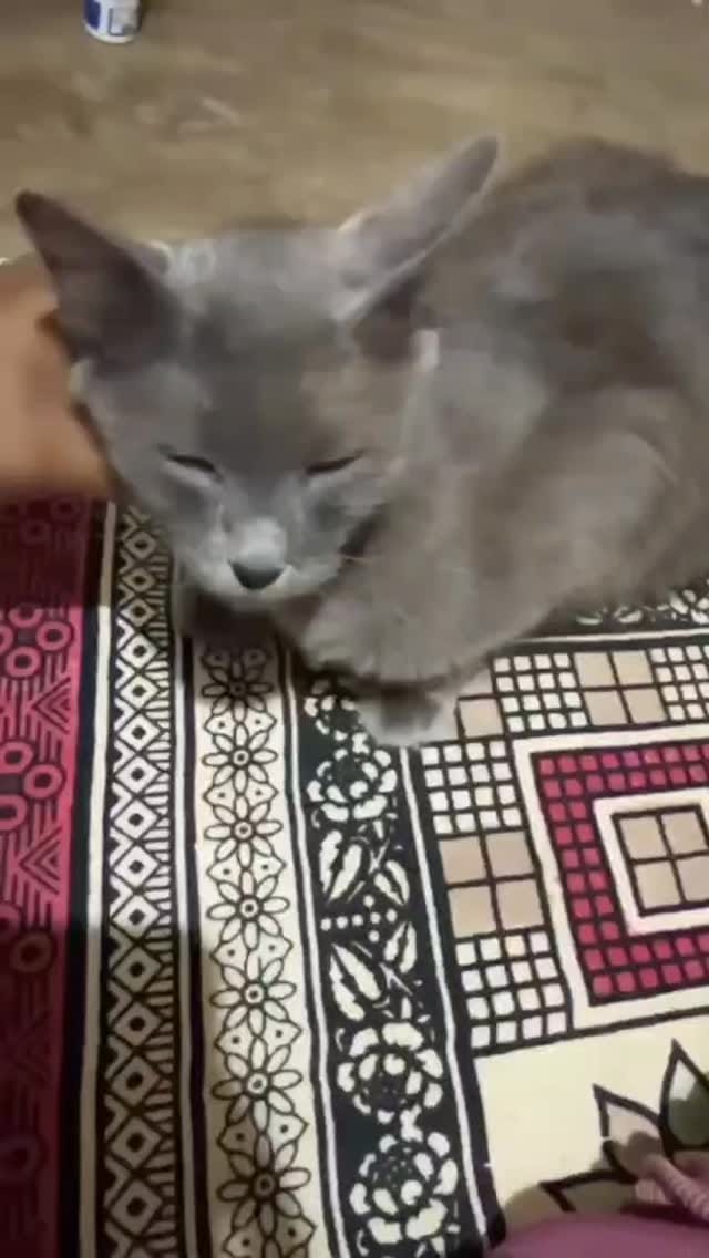 Post 8 by Apoorva Gowda on Instagram (video)