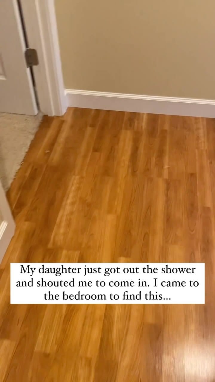 Post 3 by Makeup💄| Memes🤣 on Instagram (video)