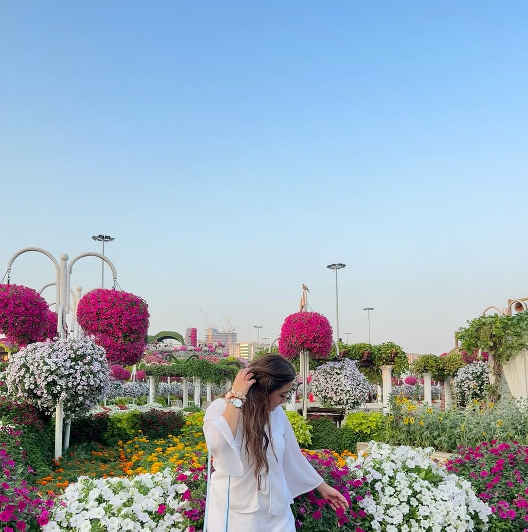 Post 2 by Shubhi Mendiratta on Instagram (image)