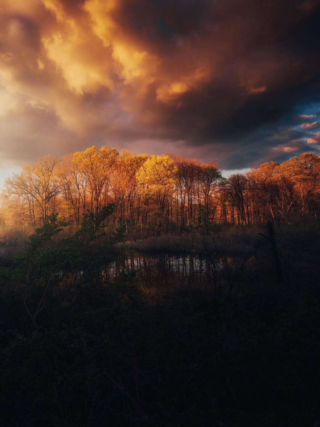 Post 3 by Bryan Minear on Instagram (carousel)
