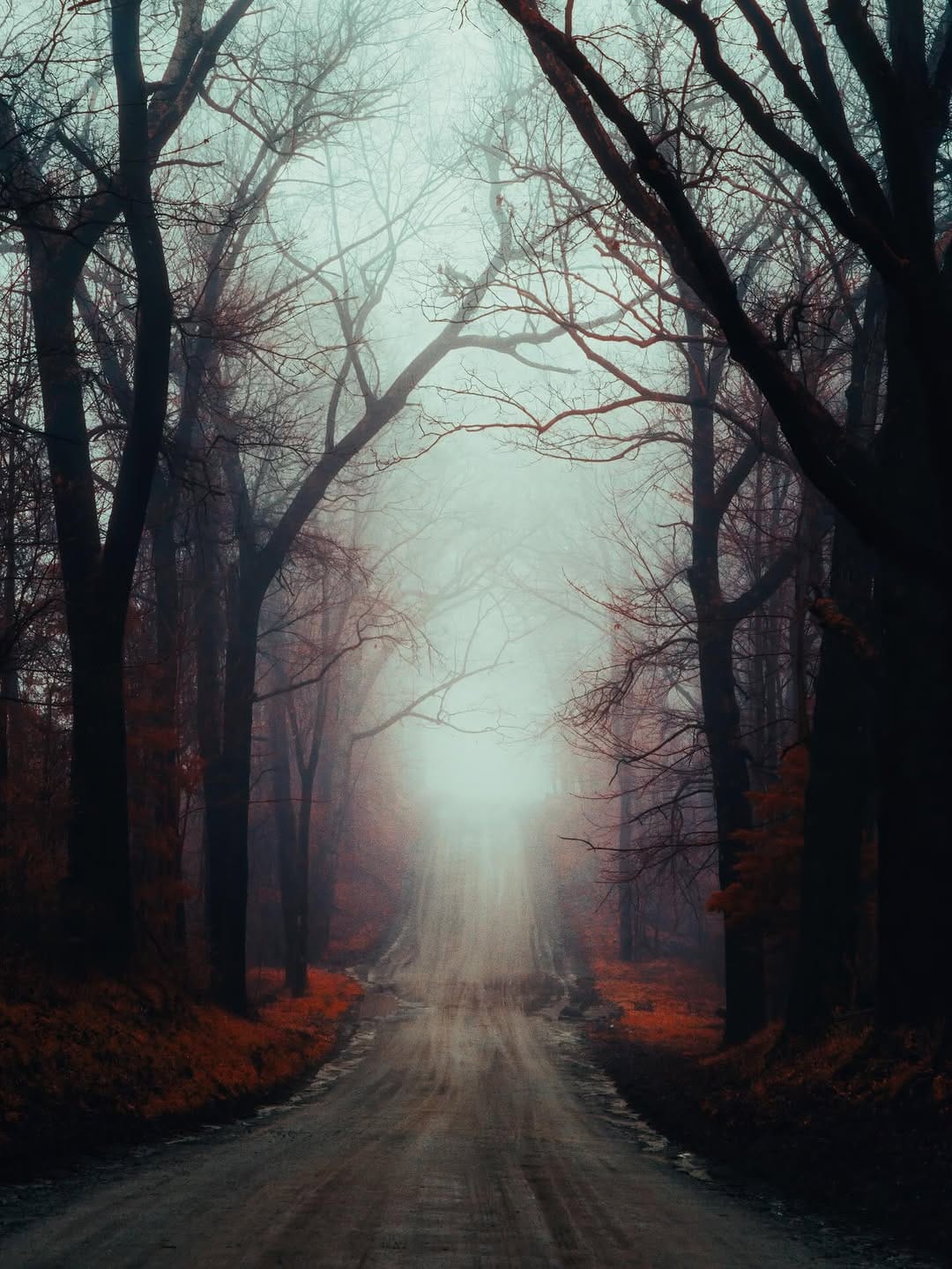 Post 5 by Bryan Minear on Instagram (carousel)