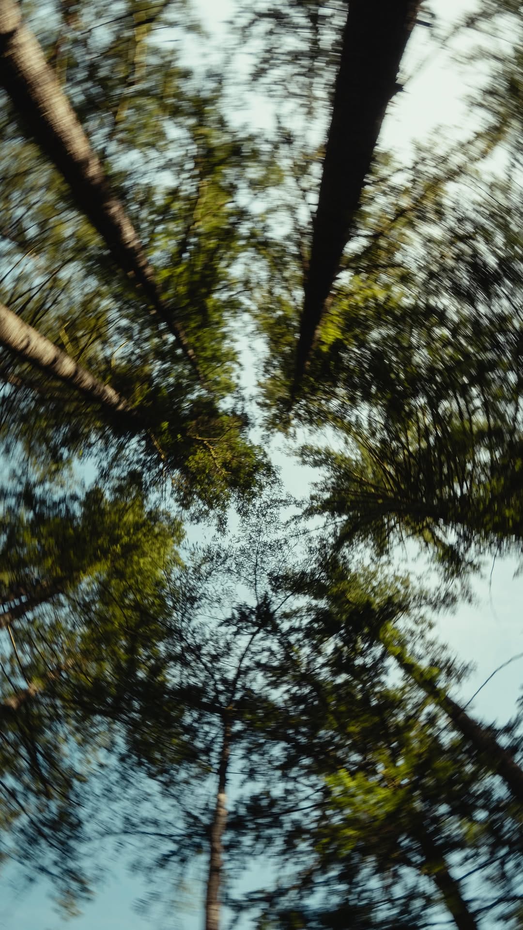 Post 10 by Etienne Pezzuto | Travel Filmmaker on Instagram (video)