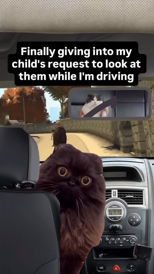 Post 4 by DieselCat | Memes on Instagram (video)