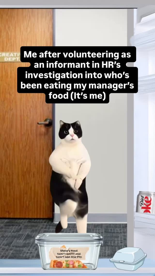 Post 6 by DieselCat | Memes on Instagram (video)
