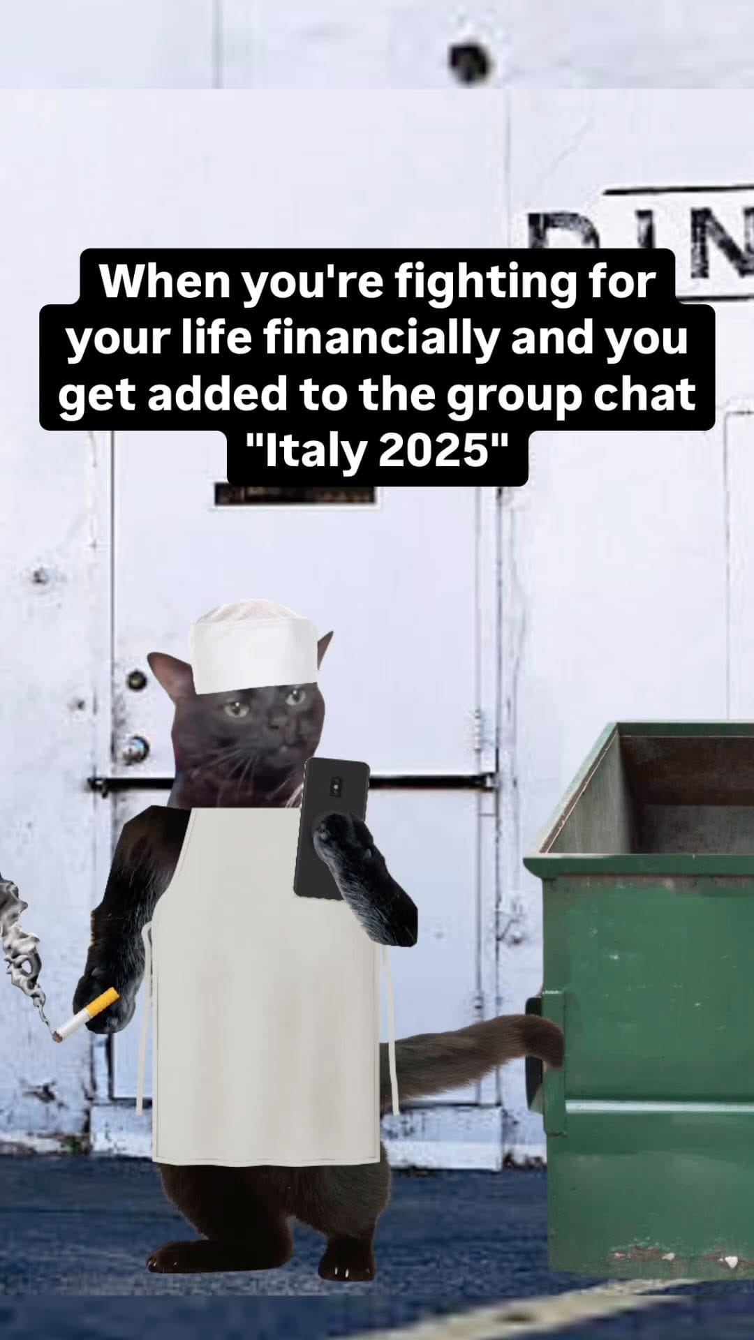 Post 9 by DieselCat | Memes on Instagram (video)