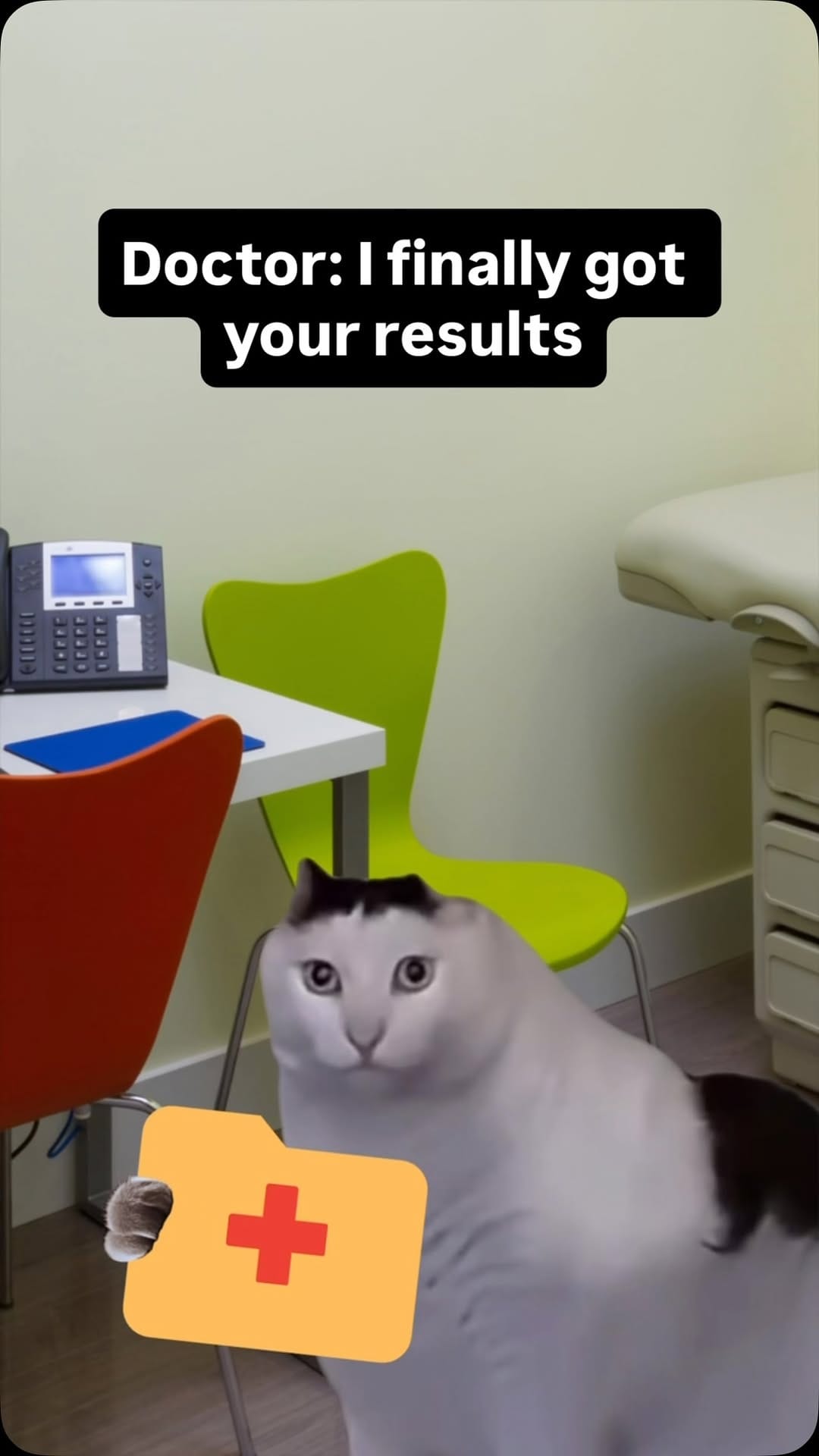 Post 2 by DieselCat | Memes on Instagram (video)