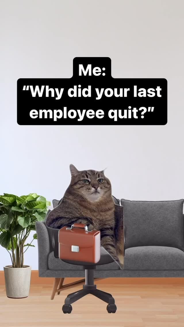 Post 7 by DieselCat | Memes on Instagram (video)