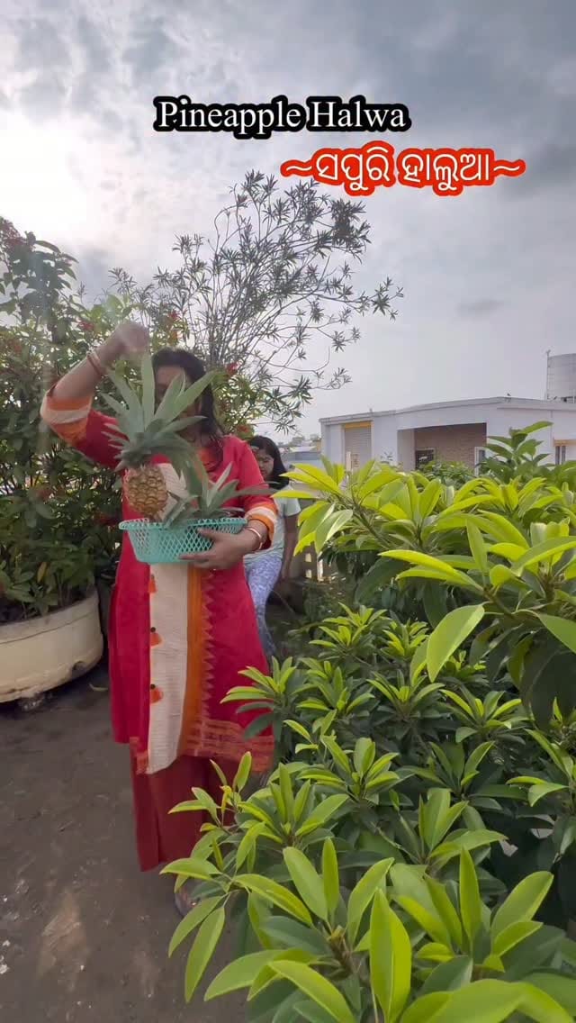Post 1 by Amruta Panigrahi on Instagram (video)