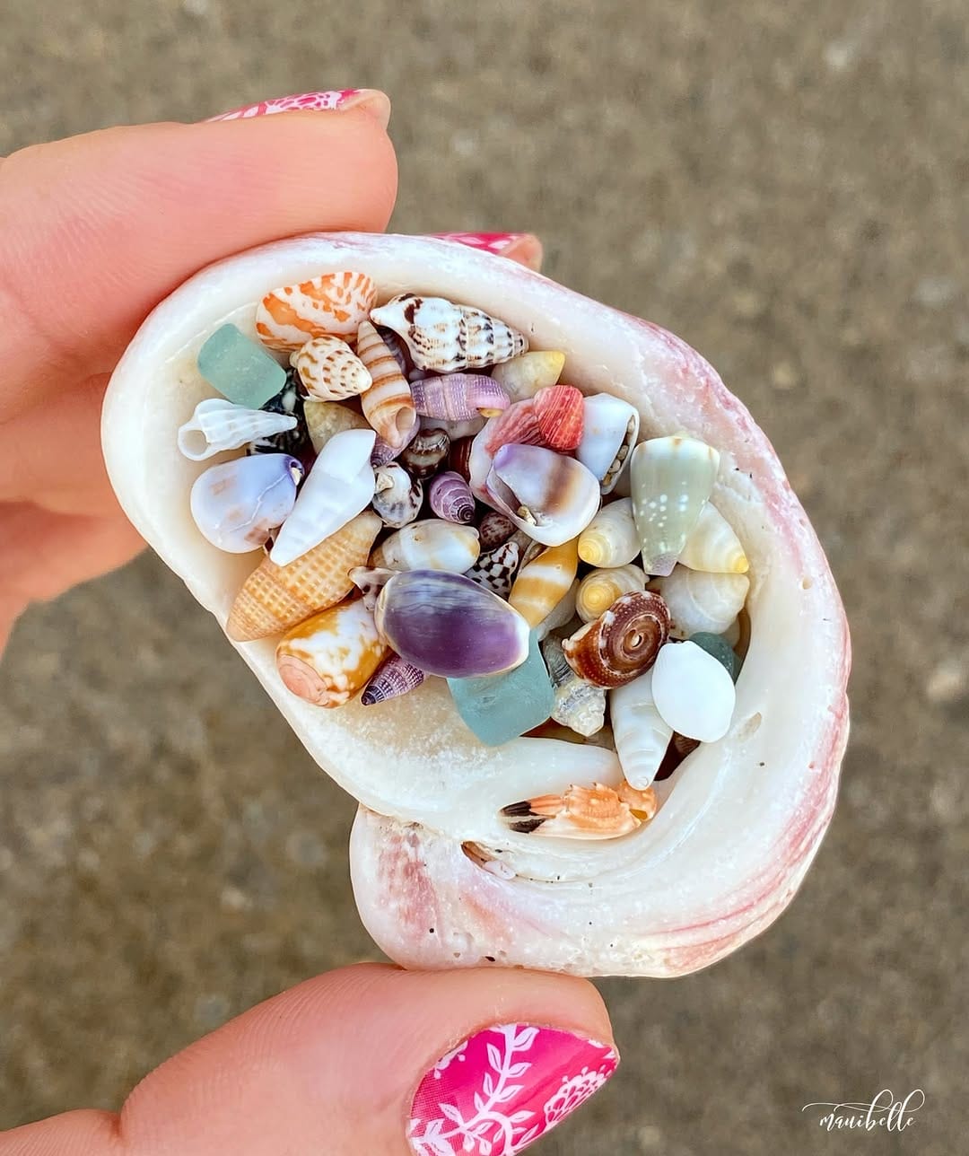Post 7 by 🌺MauiBelle🌿🐚 on Instagram (image)