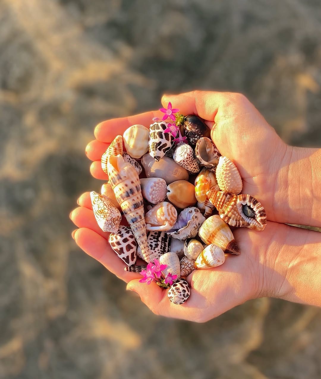 Post 9 by 🌺MauiBelle🌿🐚 on Instagram (image)