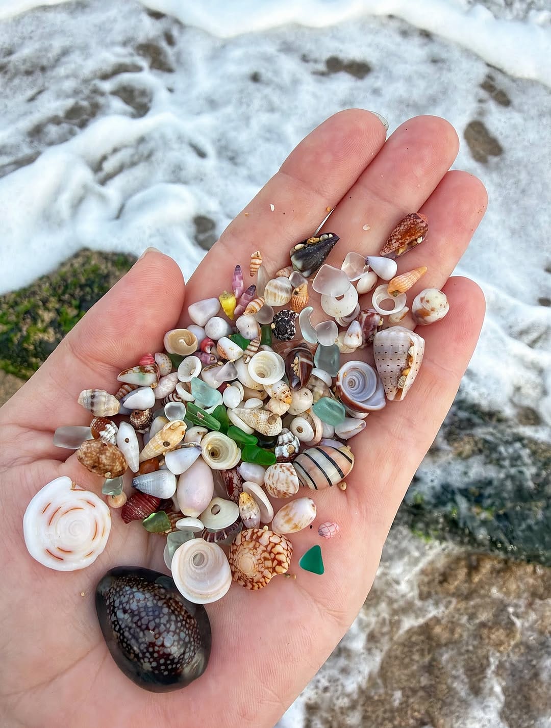 Post 3 by 🌺MauiBelle🌿🐚 on Instagram (carousel)
