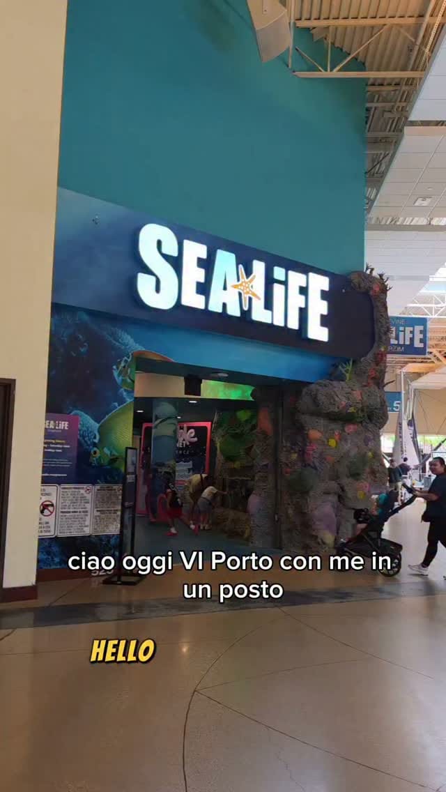 Post 1 by Carmela Acampora on Instagram (video)