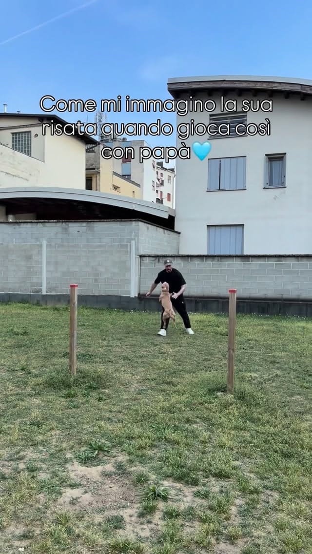 Post 1 by Alessandro Autera on Instagram (video)