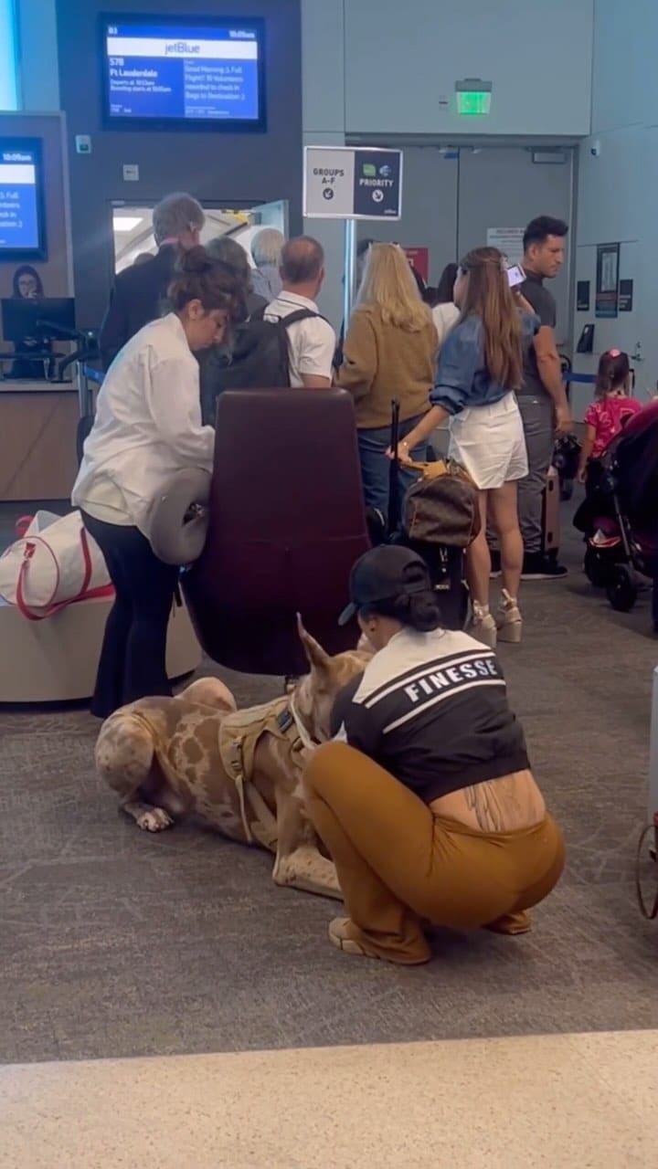 Post 9 by Charlie on Instagram (video)