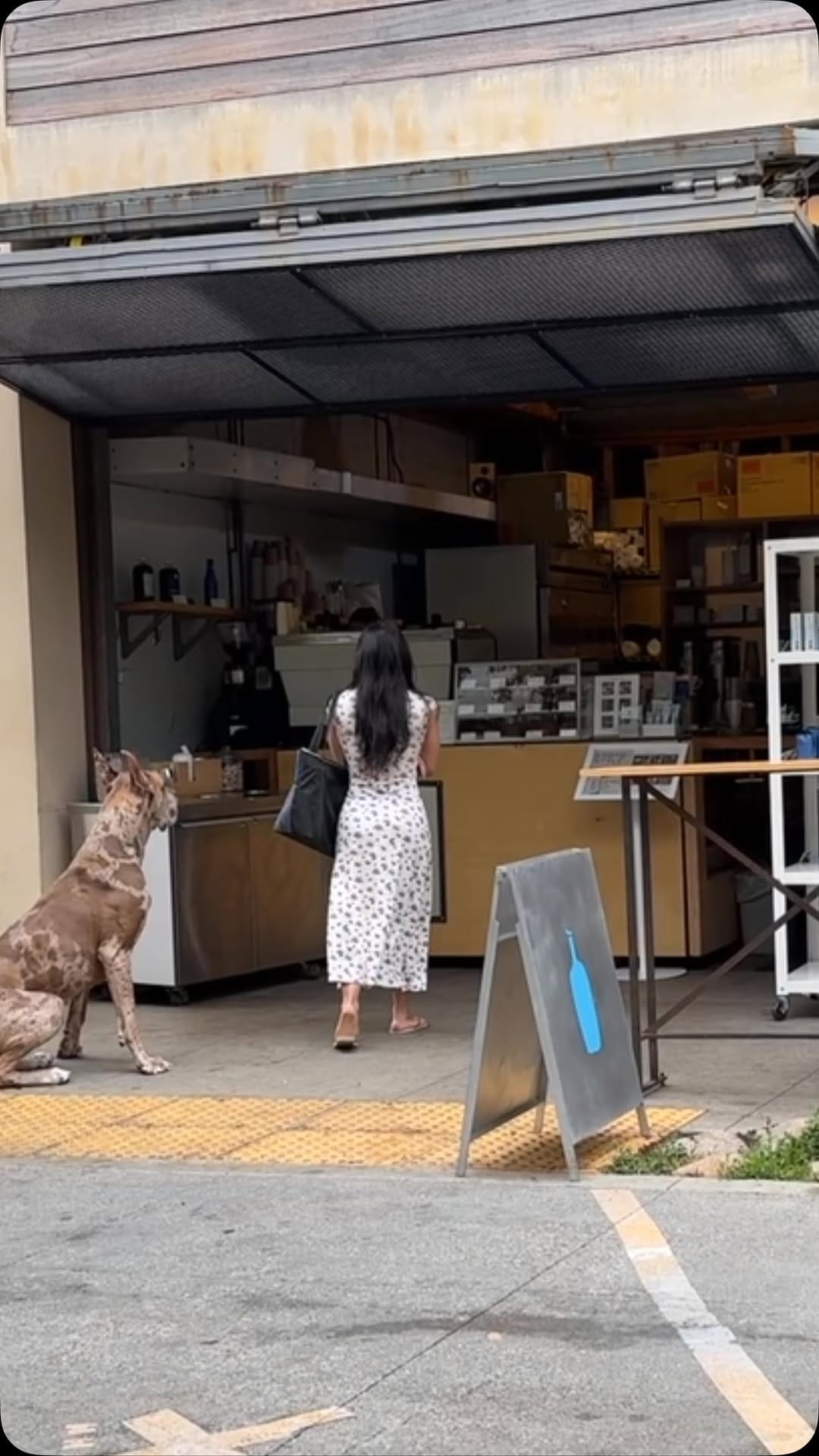 Post 7 by Charlie on Instagram (video)