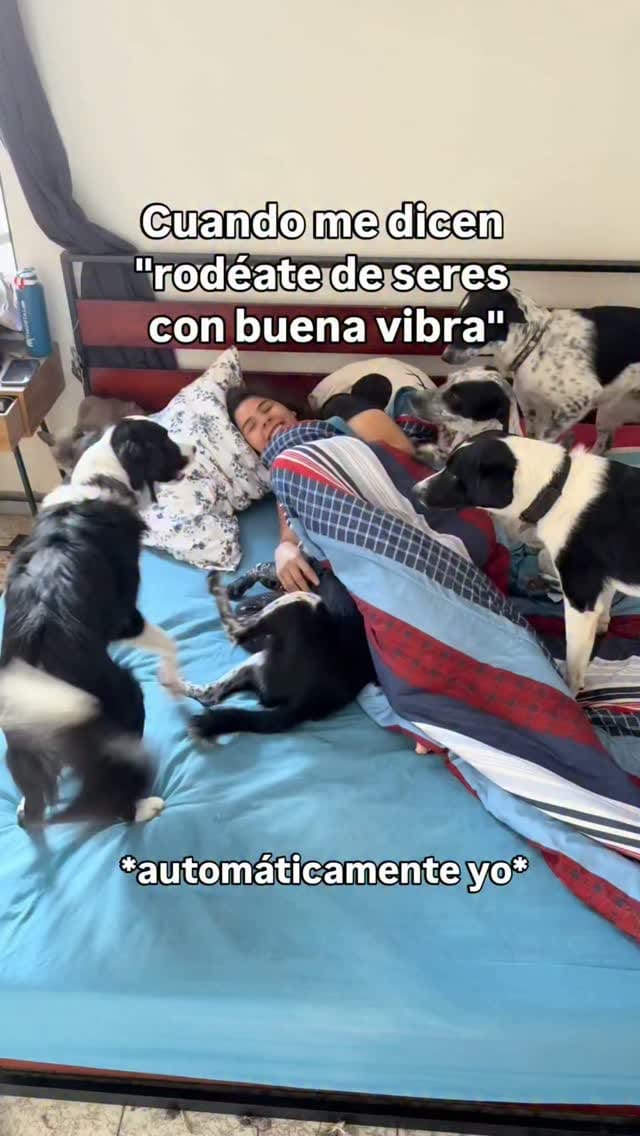 Post 5 by Andrea Ra y la Manada Mortal on Instagram (video)