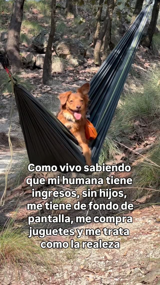 Post 7 by Andrea Ra y la Manada Mortal on Instagram (video)