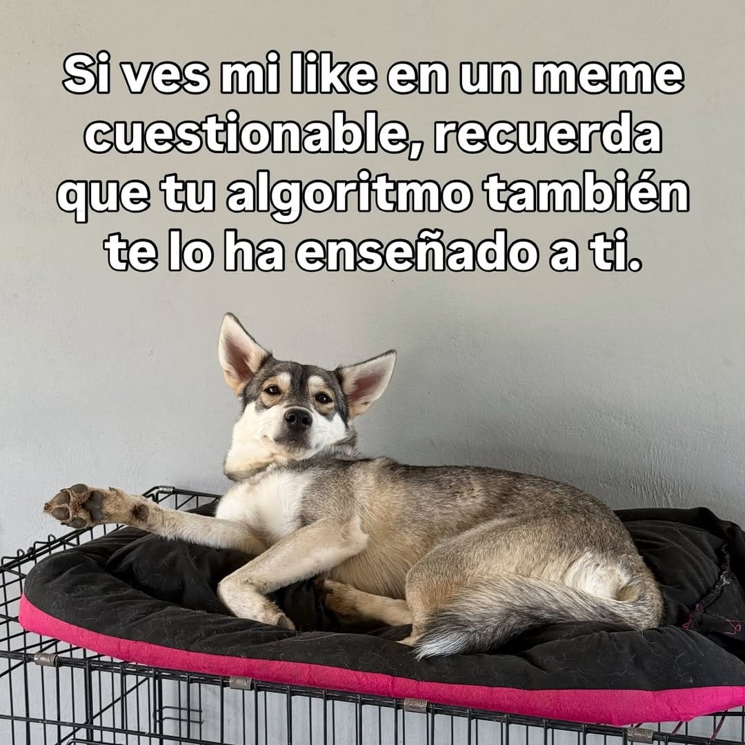 Post 1 by Andrea Ra y la Manada Mortal on Instagram (image)