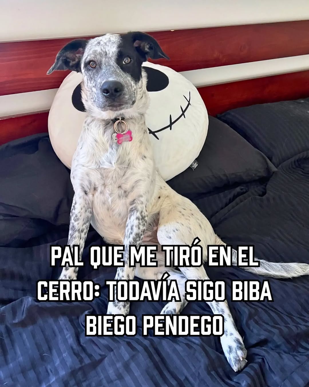 Post 4 by Andrea Ra y la Manada Mortal on Instagram (image)