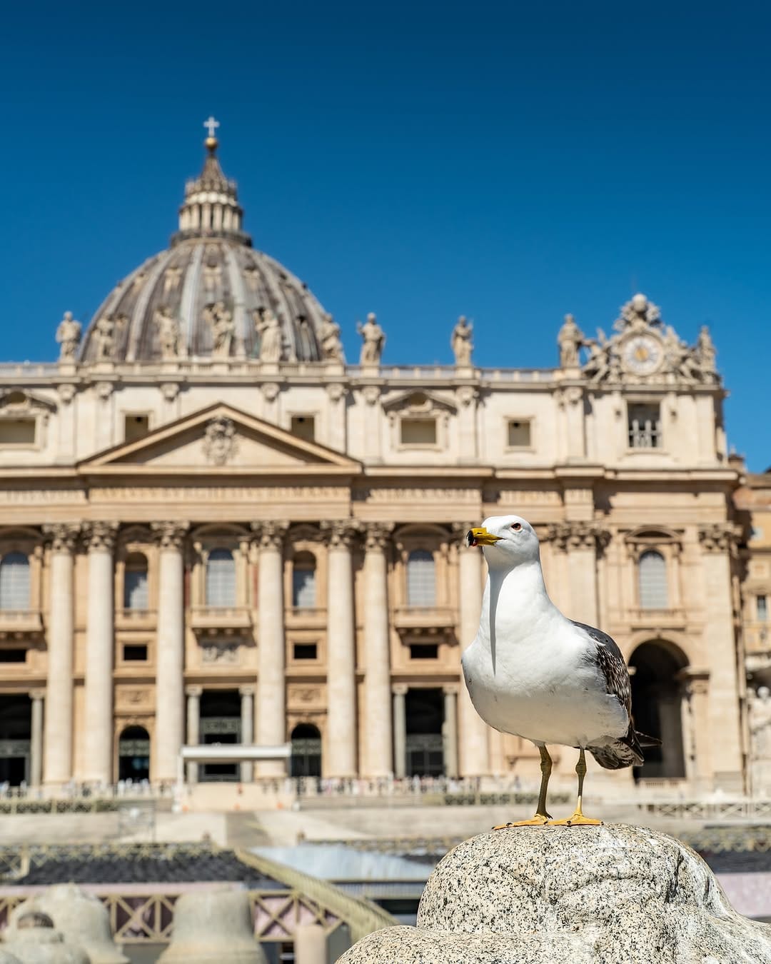Post 2 by Vatican Catholic Photography on Instagram (image)