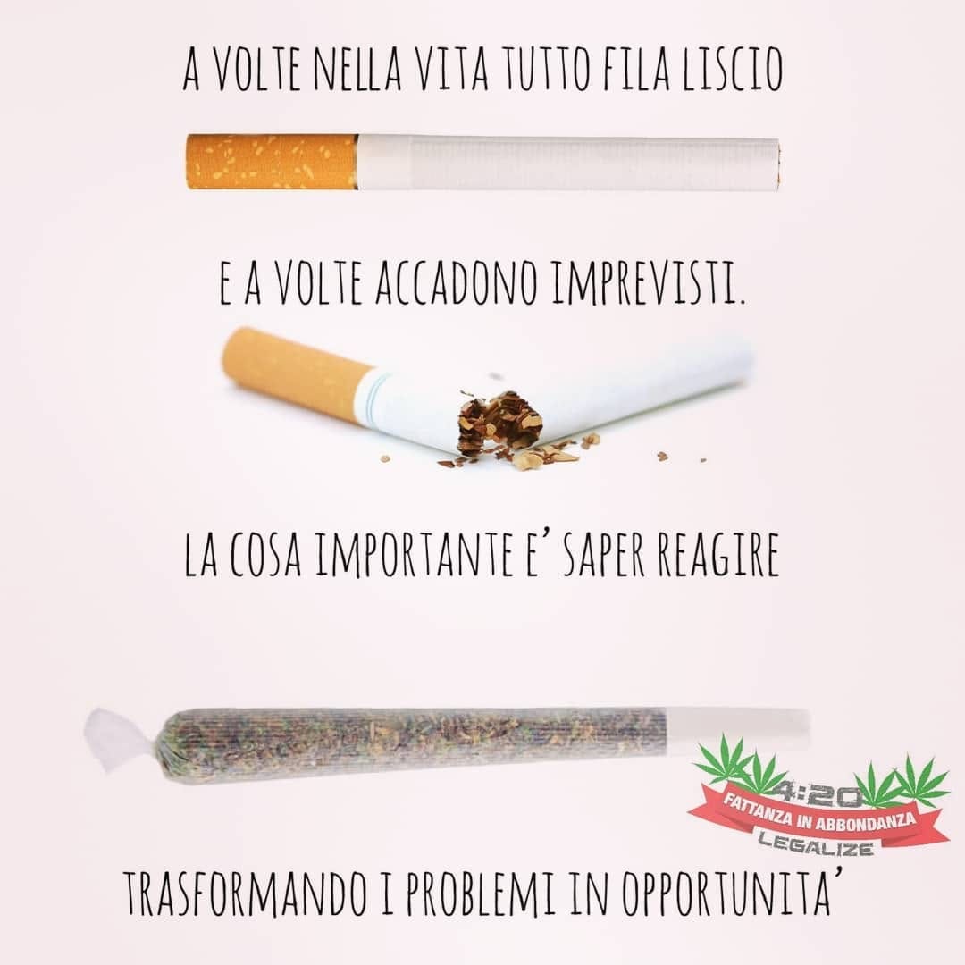 Post 8 by Angelo Pio D’Onghia on Instagram (image)