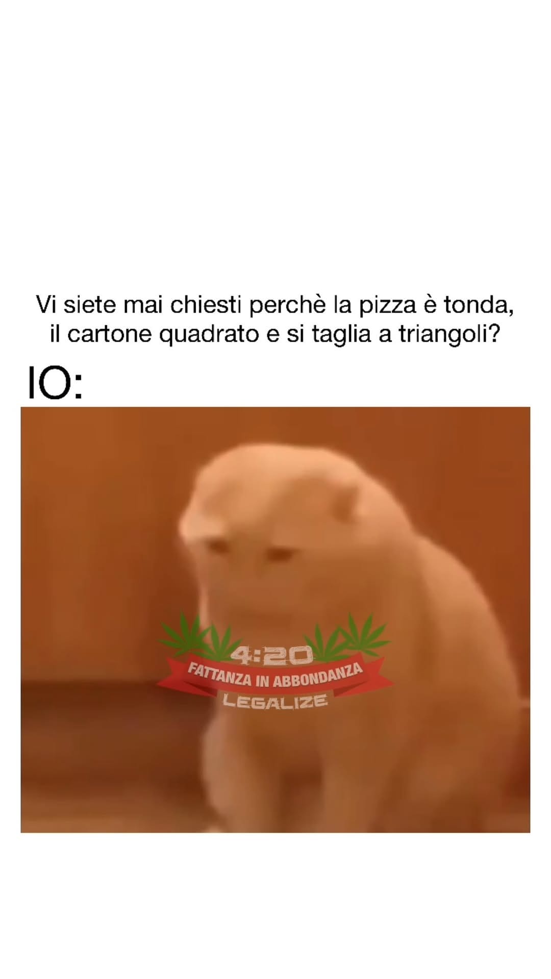 Post 2 by Angelo Pio D’Onghia on Instagram (video)