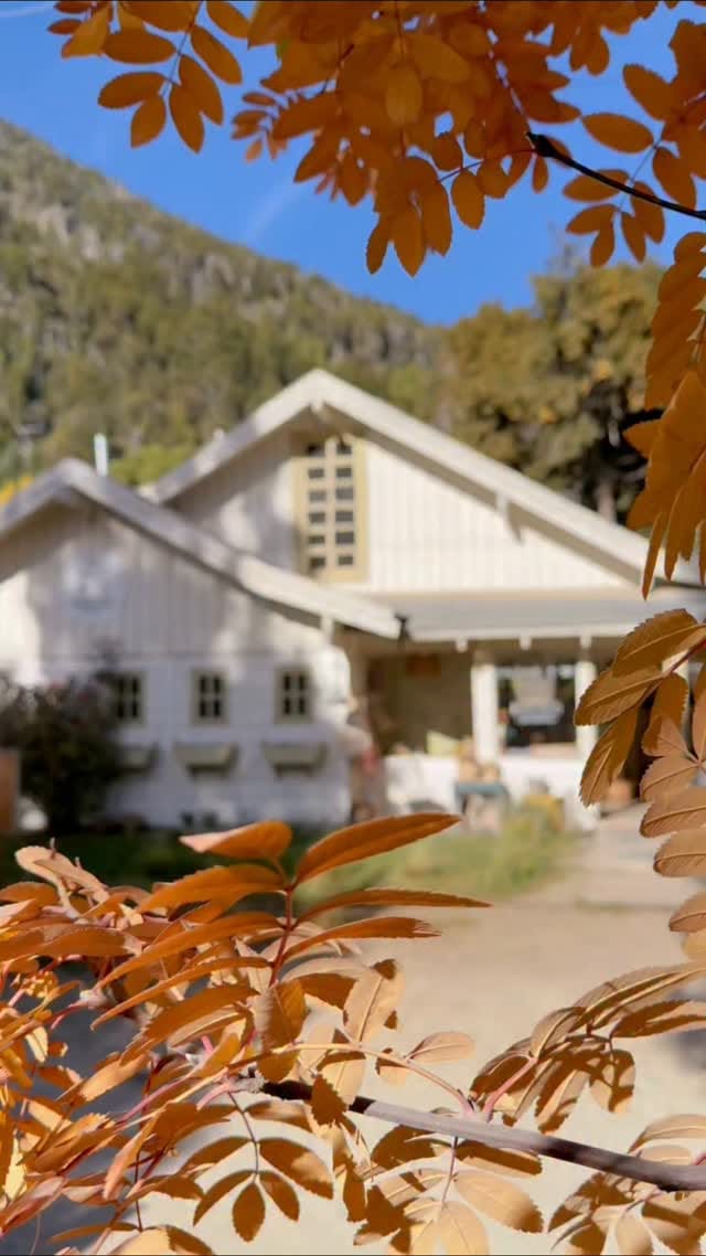 Post 3 by RANCHITO Patagonia/ Tienda de Regalos Bariloche on Instagram (video)
