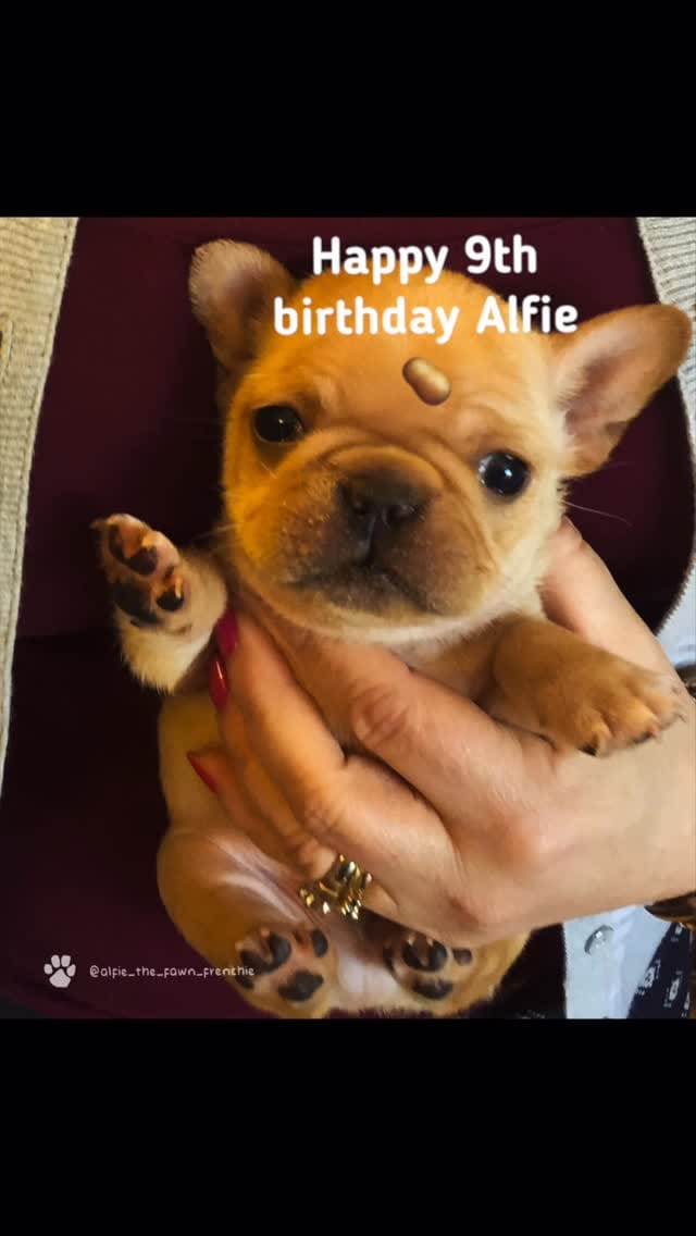 Post 3 by Alfie🛹🍿 on Instagram (video)