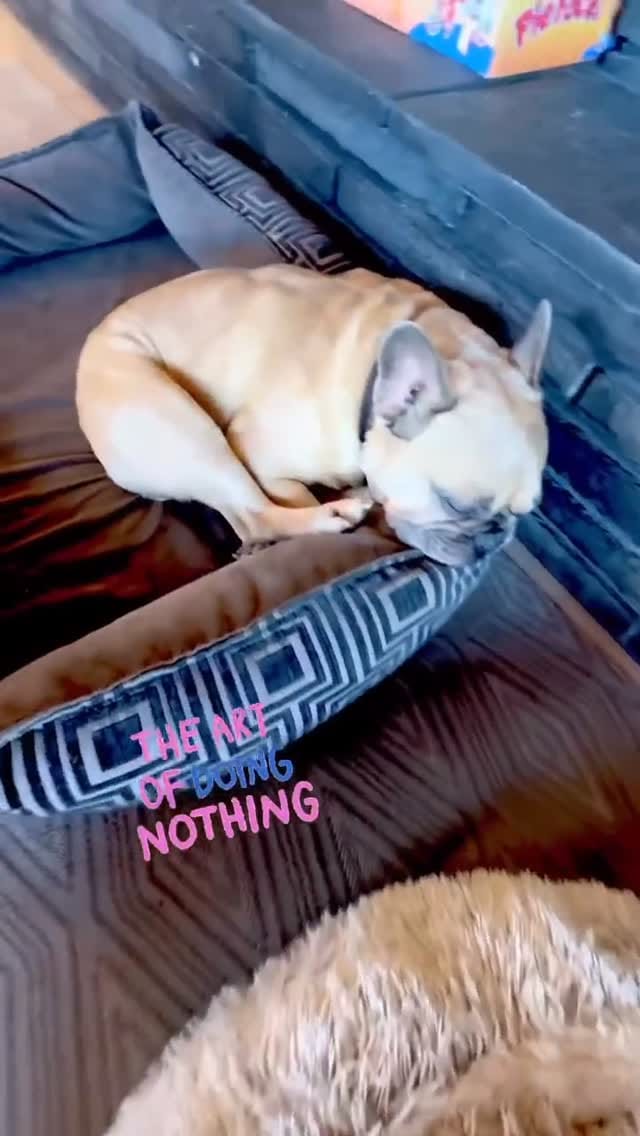 Post 4 by Alfie🛹🍿 on Instagram (video)