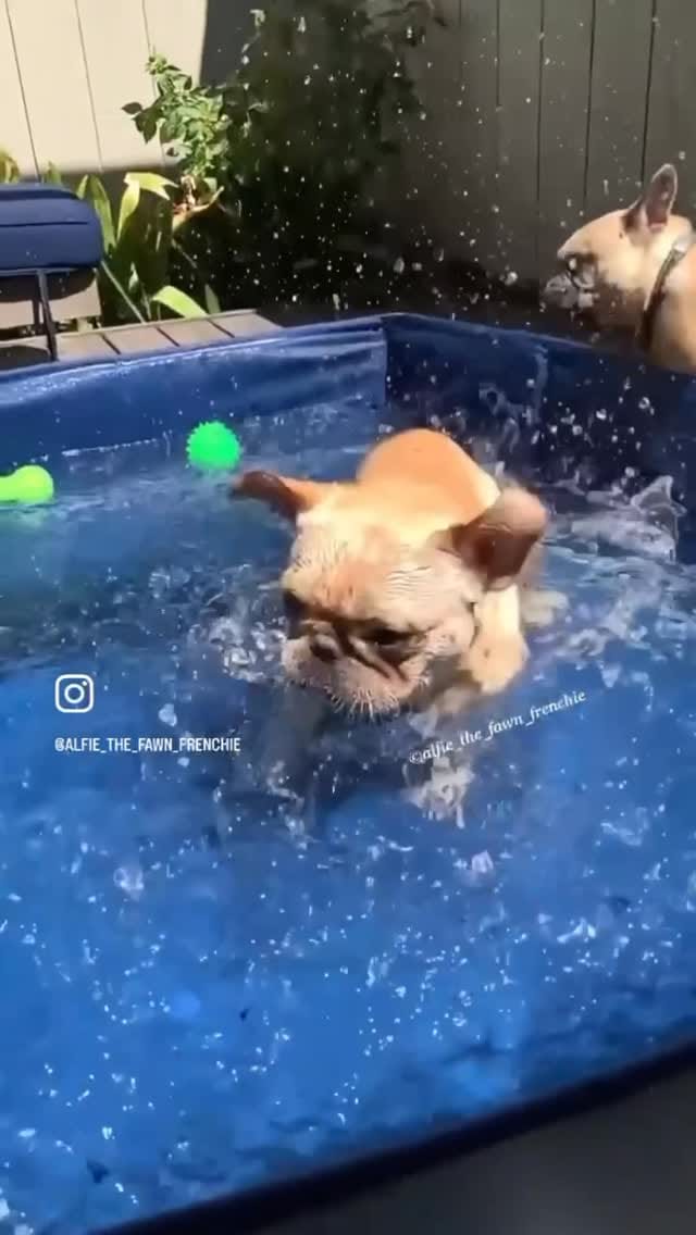 Post 2 by Alfie🛹🍿 on Instagram (video)