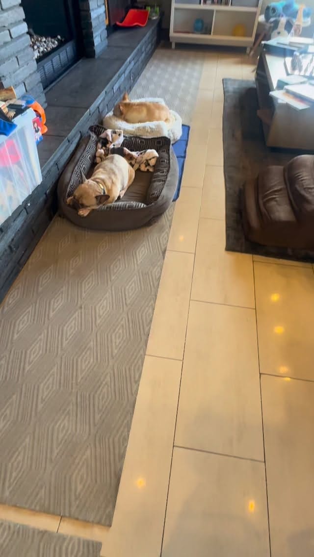 Post 5 by Alfie🛹🍿 on Instagram (video)