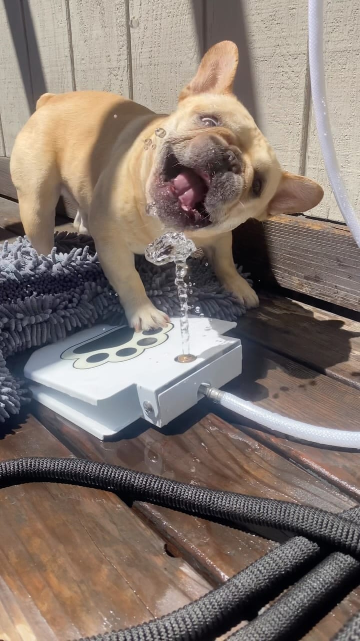 Post 1 by Alfie🛹🍿 on Instagram (video)
