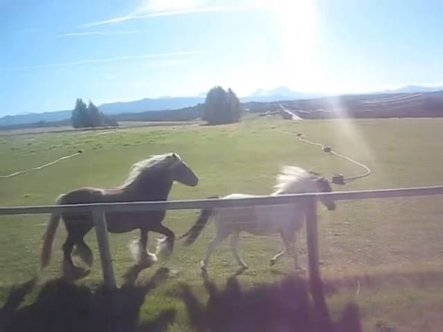 Post 4 by Laura brown on Instagram (video)
