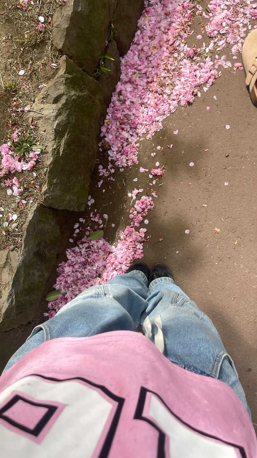 Post 10 by Laura brown on Instagram (video)