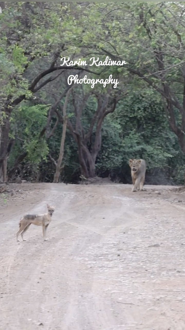 Post 10 by Dr. Karim Kadiwar on Instagram (video)
